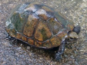 c70fd06eb2035bc66db4ab1a36d1cd3c_s