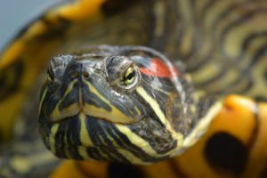 fa6b67ad4a719d913f998694ee60bc82_s